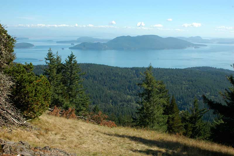 View from a picnic area on the Little Summit Trail.